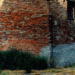 Guido Guidi A Luzzara