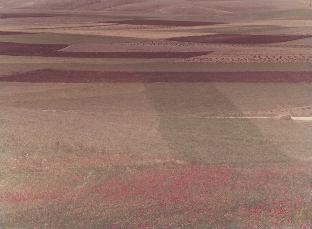 Mario Giacomelli, Castelluccio, 1960