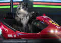 Mattia Gorno borsa di studio Dog Photography