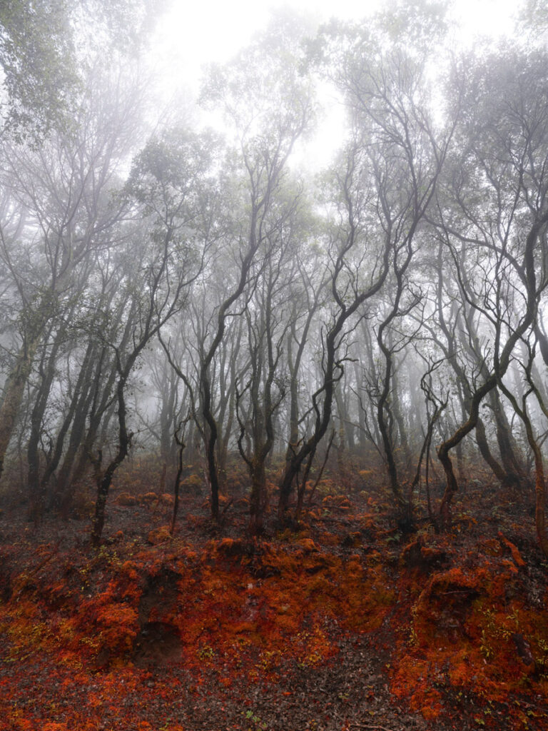 © Stefano Cerio, Pantelleria. The Redemption of Nature