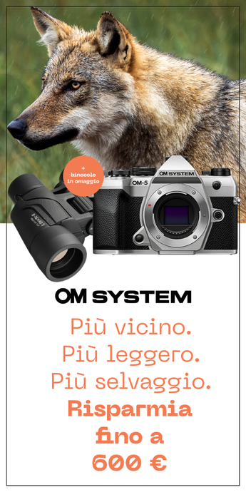 banner om system