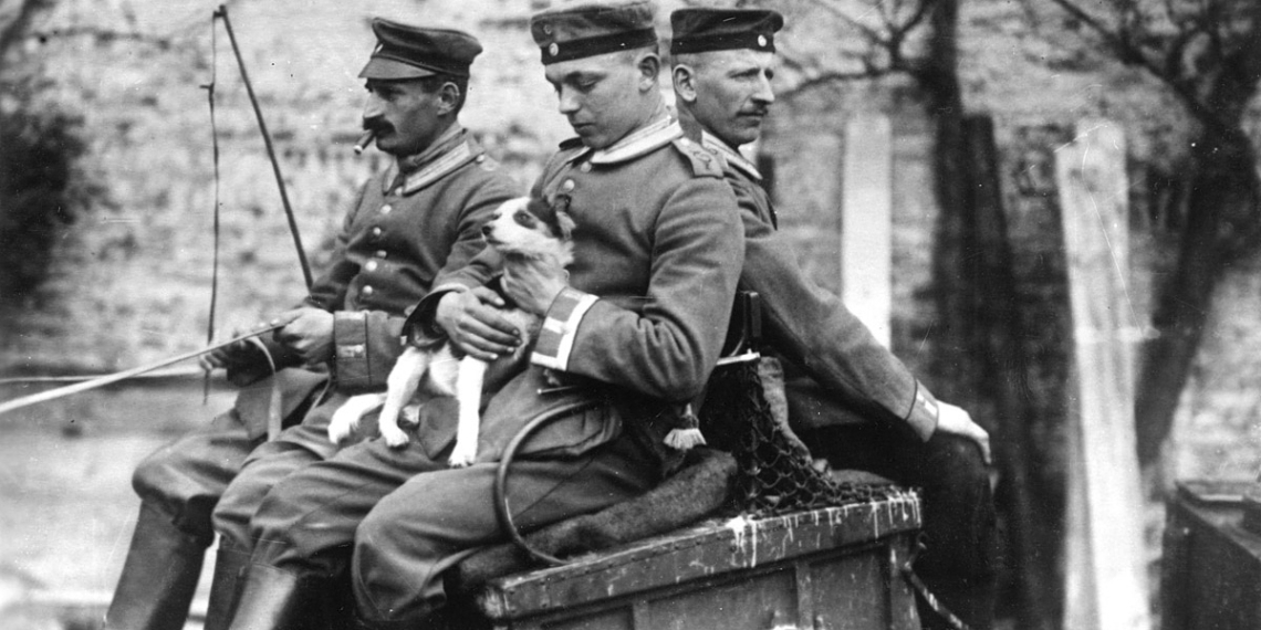 Poilus. Histoire des chats et chiens de la Grande Guerre. Mostra fotografia