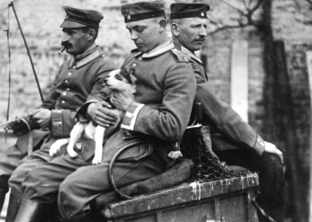 Poilus. Histoire des chats et chiens de la Grande Guerre. Mostra fotografia