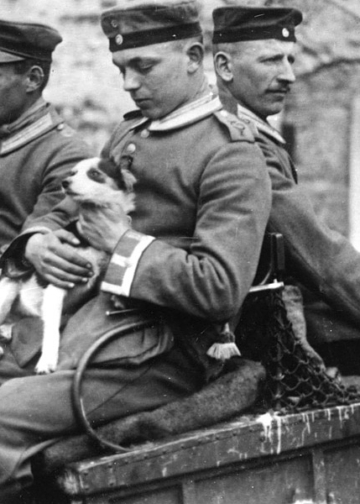 Poilus. Histoire des chats et chiens de la Grande Guerre. Mostra fotografia