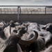 Raffaela Mariniello mostra fotografica ICCD Roma