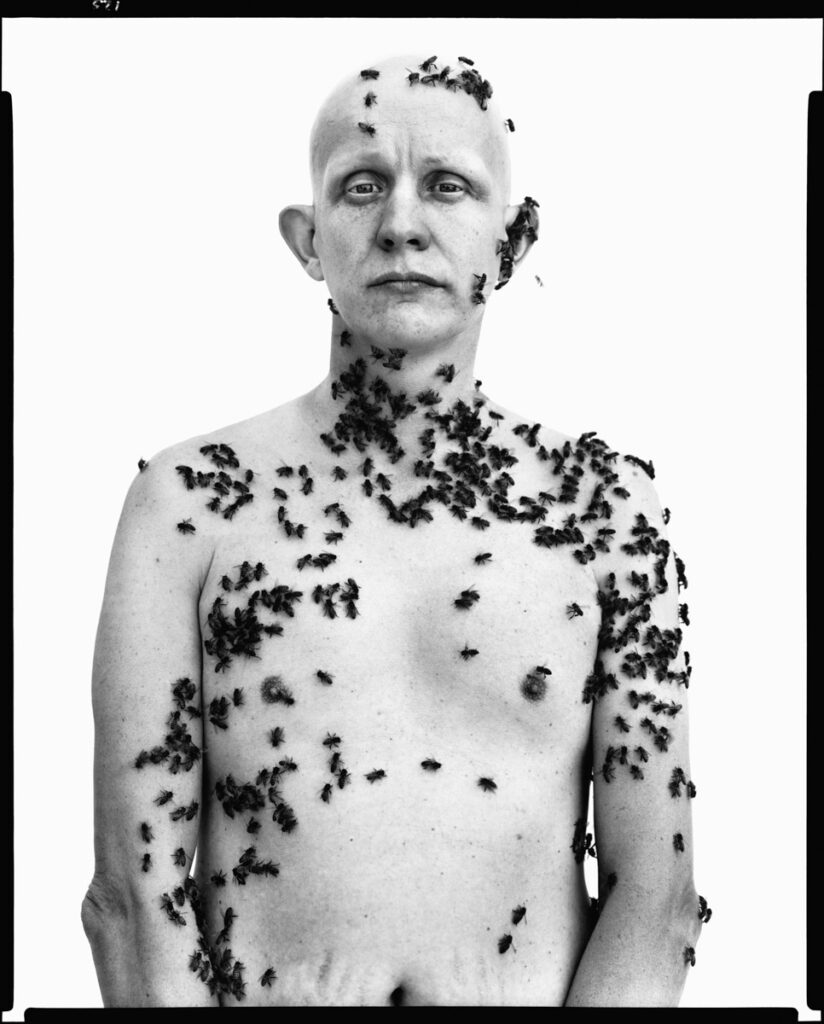 Ronald Fischer, apicoltore, Davis, California, 9 maggio 1981. © The Richard Avedon Foundation