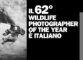 Wildlife Photographer of the Year 2026 vincitori