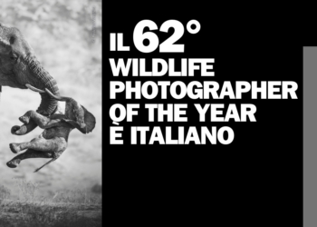 Wildlife Photographer of the Year 2026 vincitori