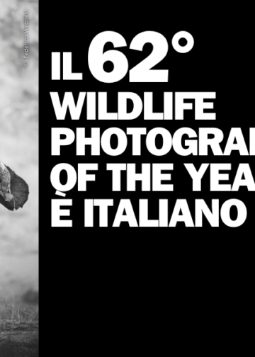 Wildlife Photographer of the Year 2026 vincitori
