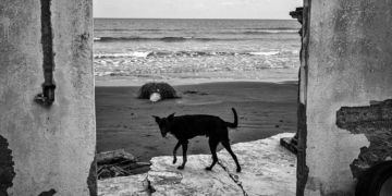 World Press Photo Bologna