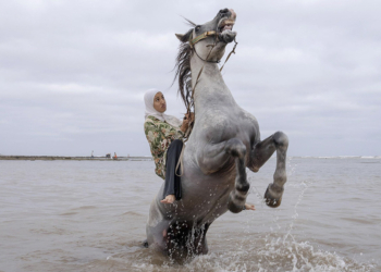 World Press Photo mostra Genova