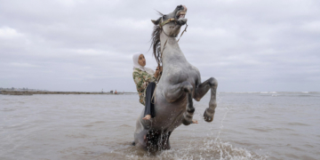 World Press Photo mostra Genova