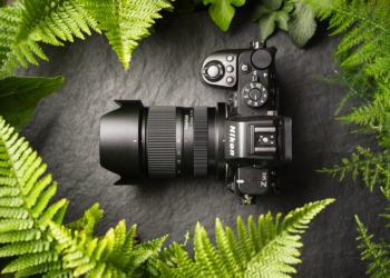 tamron 16-50mm f2.8 b091 aprevidenza